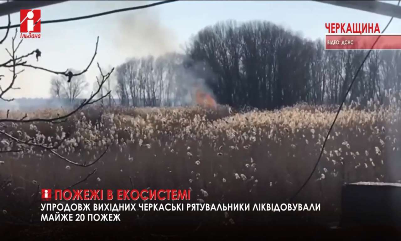 Майже 20 пожеж сталося в екосистемах Черкащини за вихідні (ВІДЕО)